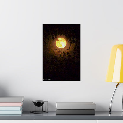 Bewitching Super Moon