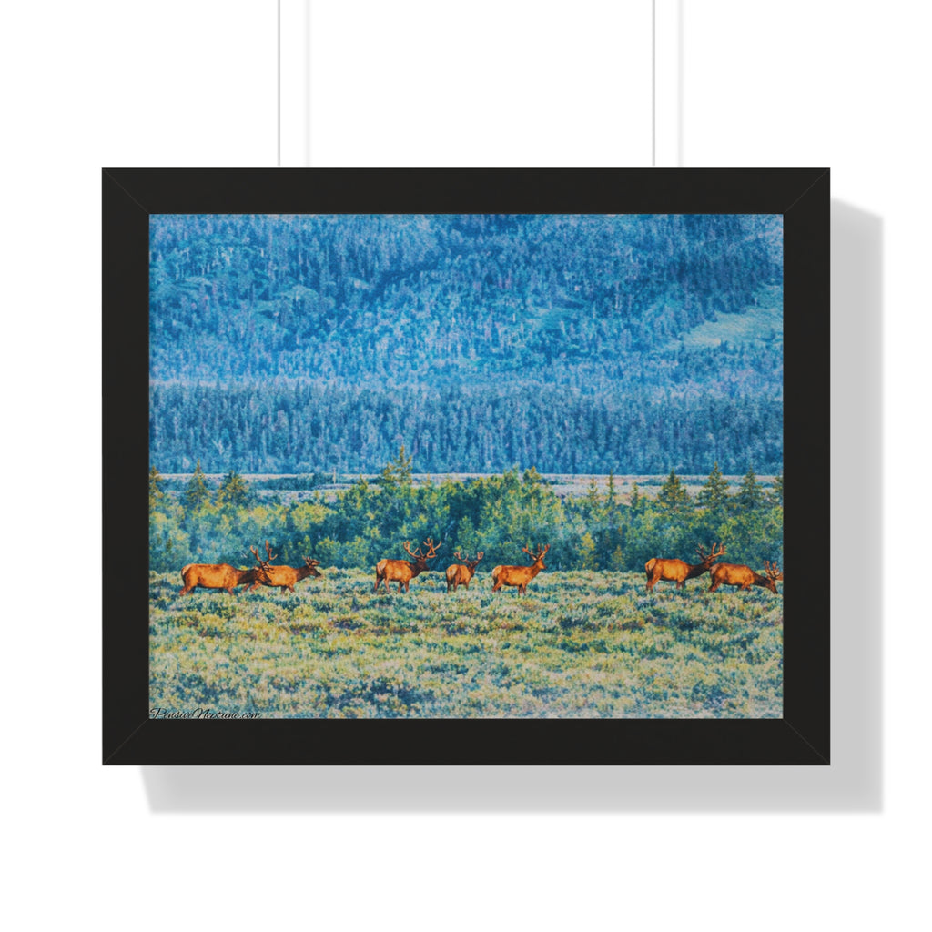 Elk Beneath the Evergreen Veil