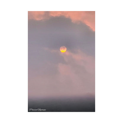 Rosy dreams