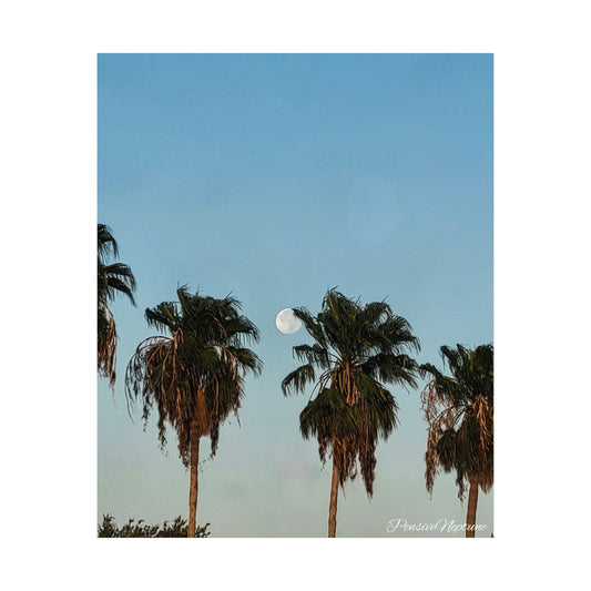 Hide and Seek Moon